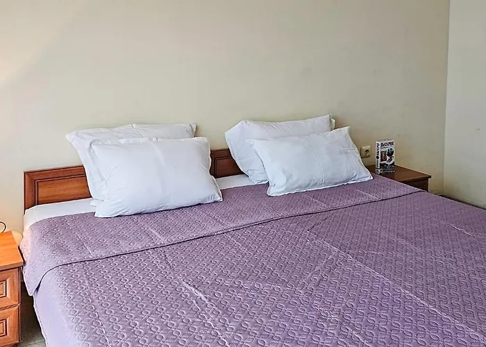 South Vacation * Slăntjev Brjag