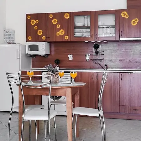 South Vacation Sunny Beach