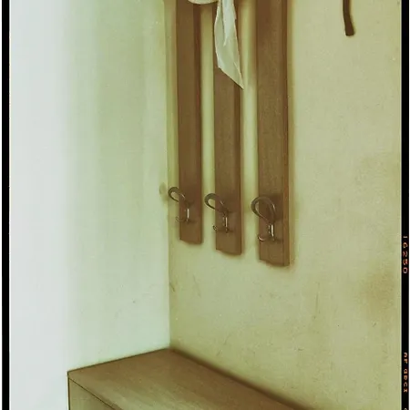 South Vacation Daire