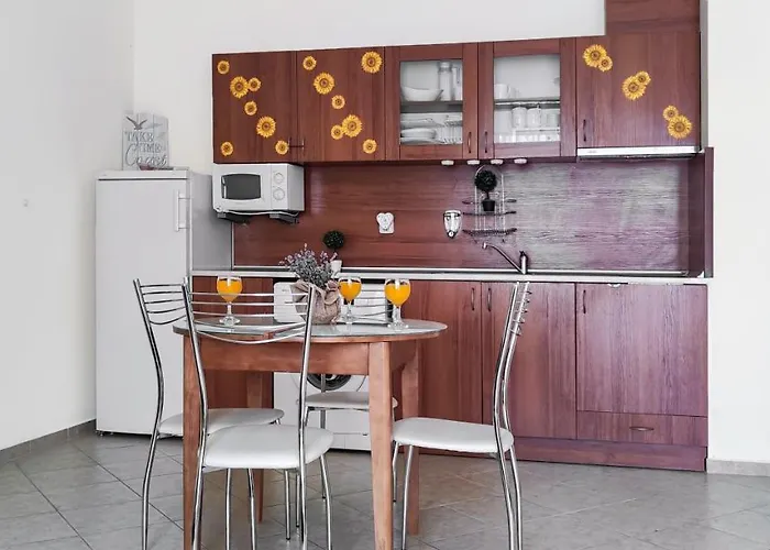 South Vacation Slăntjev Brjag